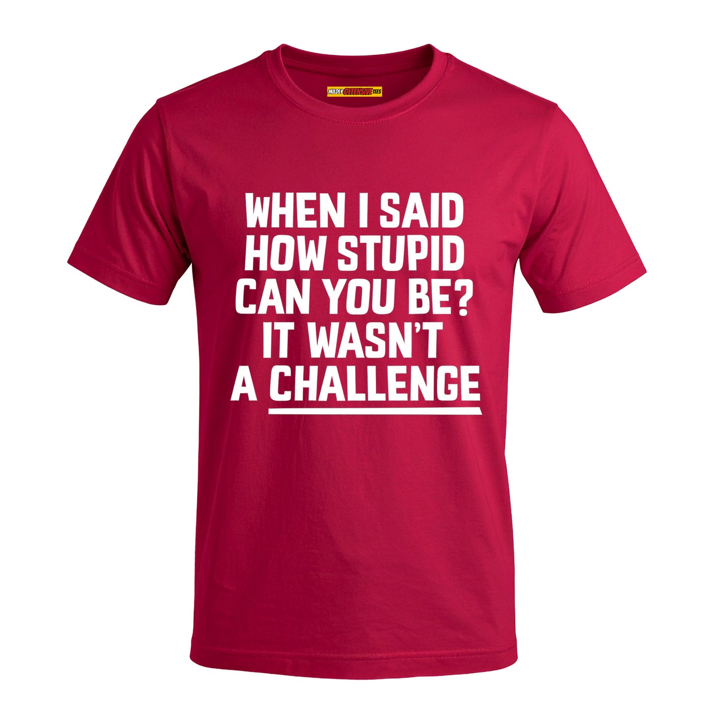 When I Said How Stupid Can You Be? It Wasn't A Challenge
