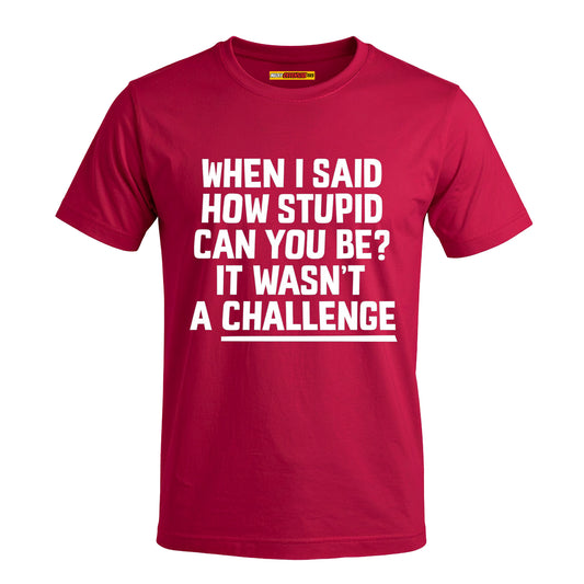 When I Said How Stupid Can You Be? It Wasn't A Challenge
