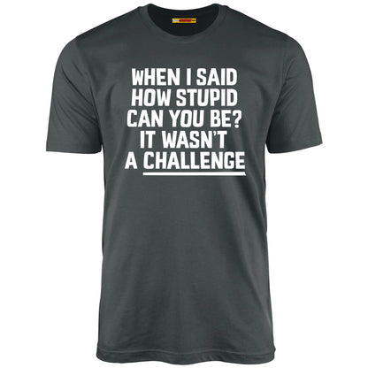 When I Said How Stupid Can You Be? It Wasn't A Challenge