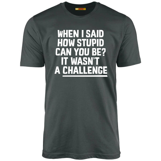 When I Said How Stupid Can You Be? It Wasn't A Challenge