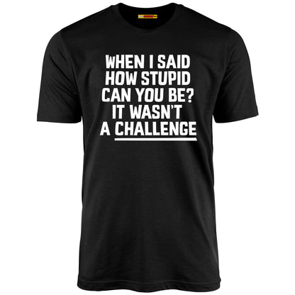When I Said How Stupid Can You Be? It Wasn't A Challenge