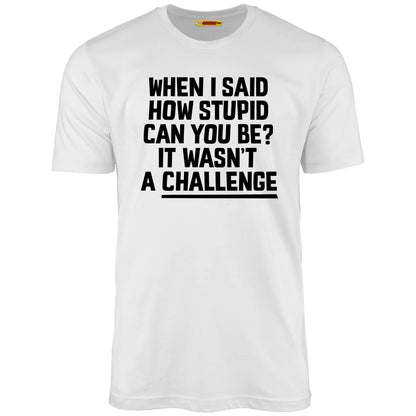 When I Said How Stupid Can You Be? It Wasn't A Challenge