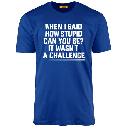 When I Said How Stupid Can You Be? It Wasn't A Challenge