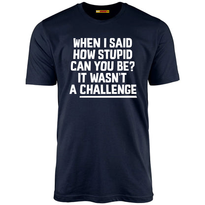 When I Said How Stupid Can You Be? It Wasn't A Challenge