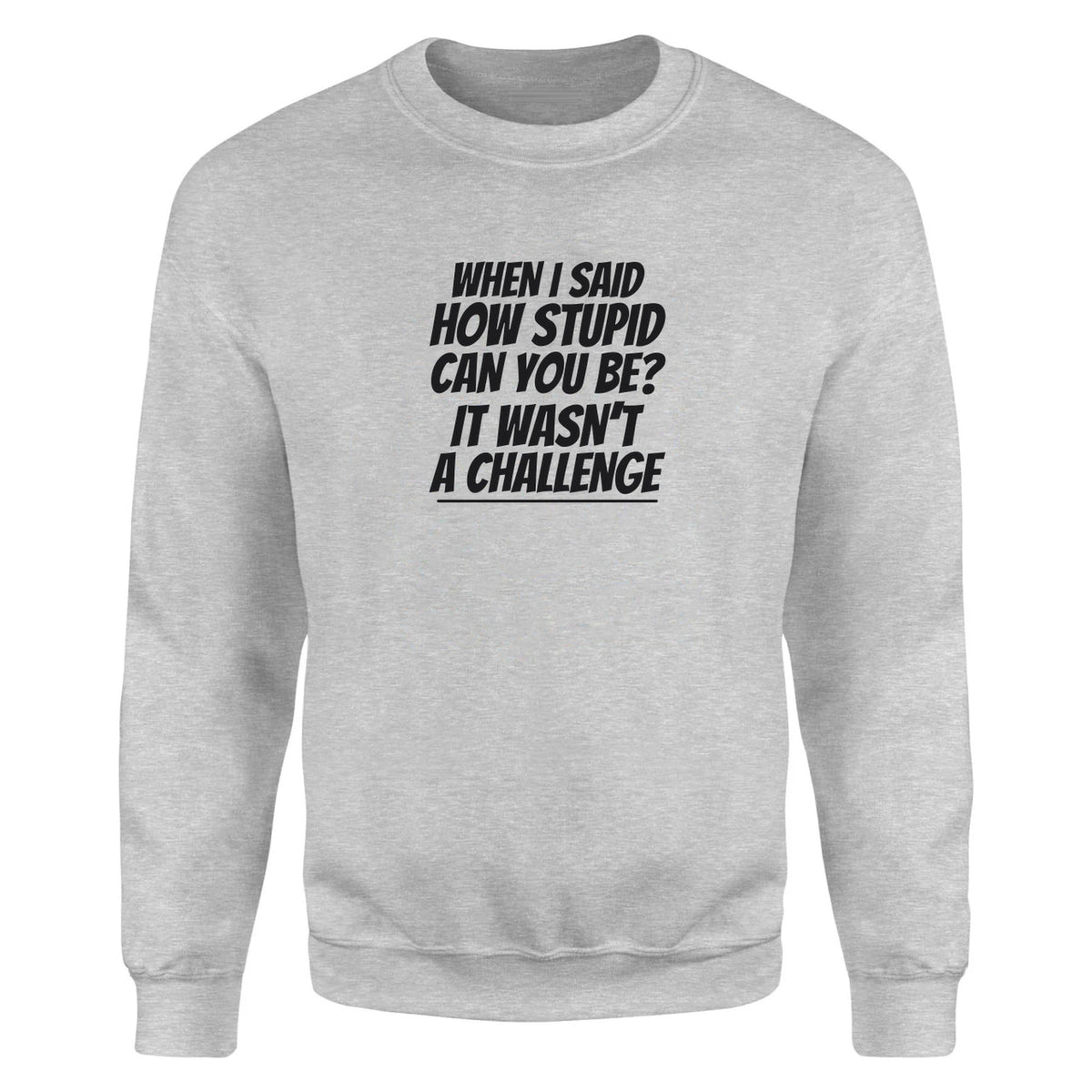 How Stupid Can You Be? - Fleece Sweatshirt