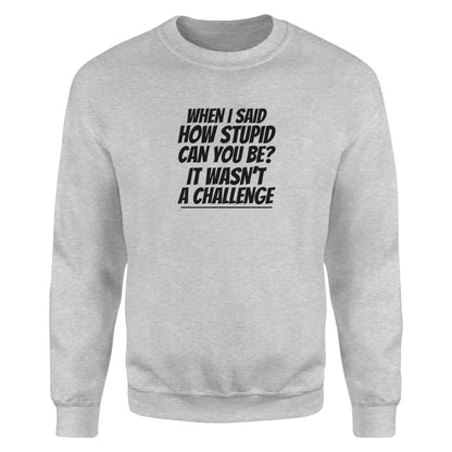 How Stupid Can You Be? - Fleece Sweatshirt