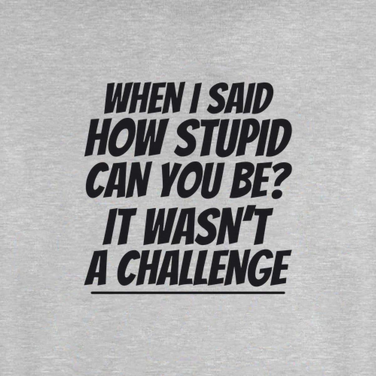 How Stupid Can You Be? - Fleece Sweatshirt